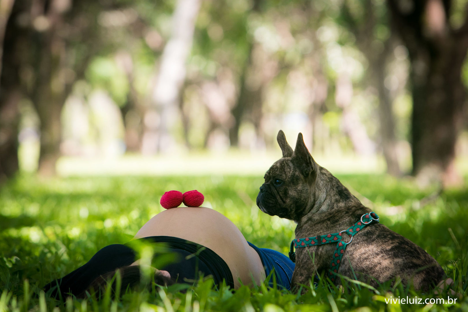 Foto Gestação Isabel - Imagem 15