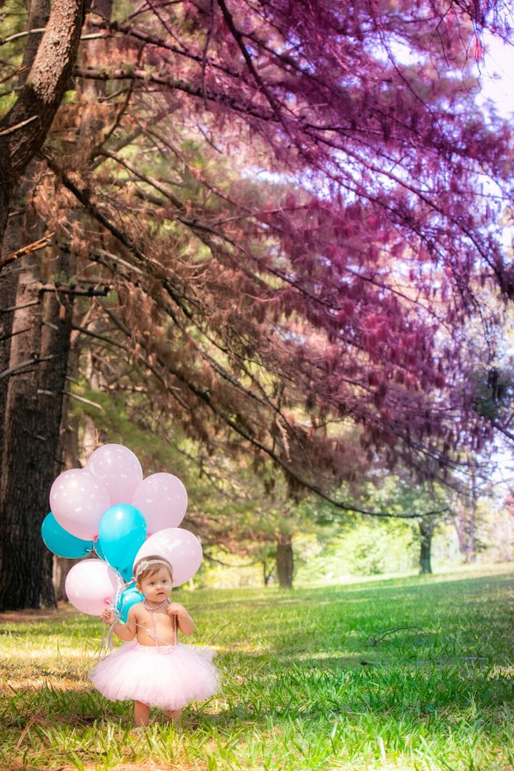 Foto Mini ensaio da Lis - 1 ano - Imagem 2