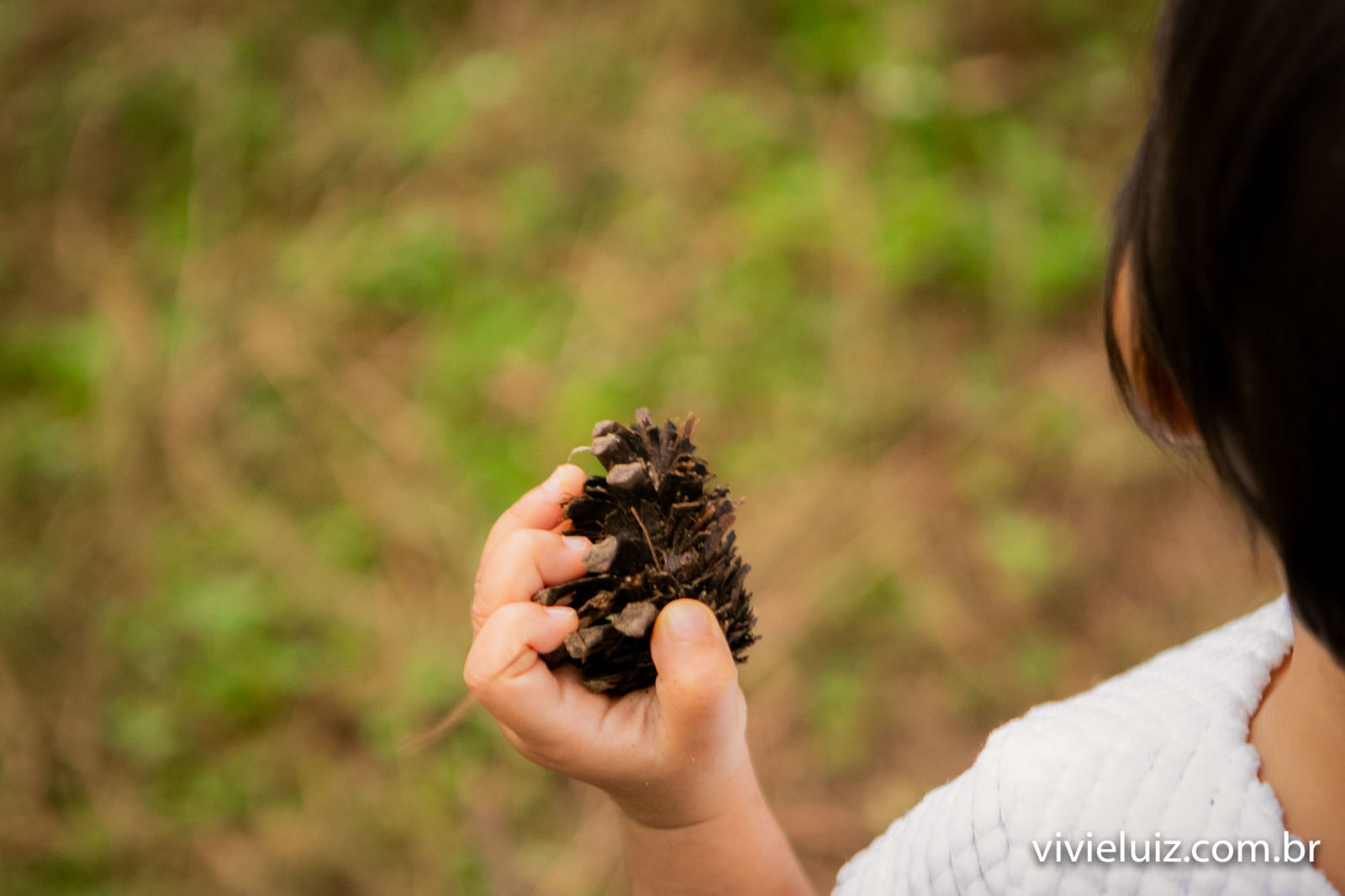 Foto Sophia - ensaio - Imagem 13