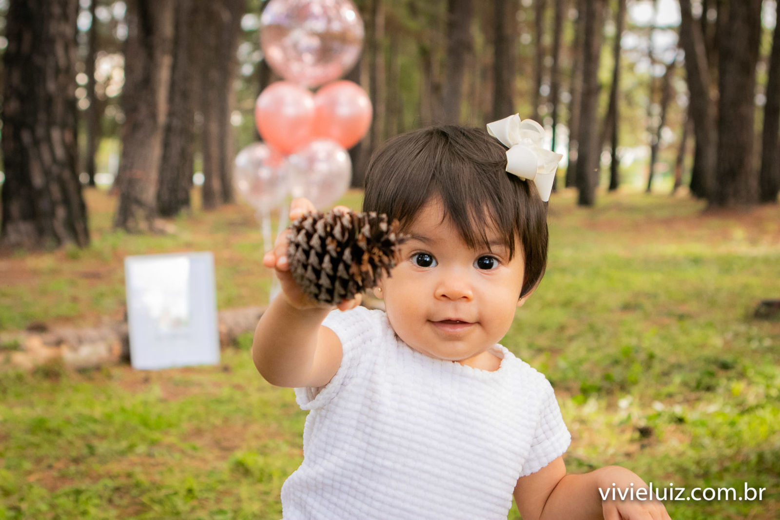 Foto Sophia - ensaio - Imagem 3