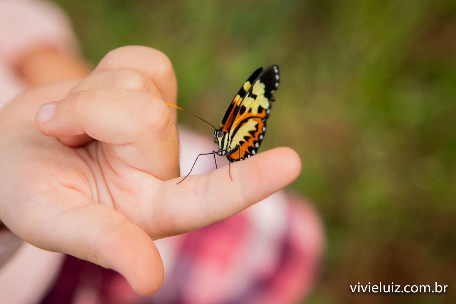 Foto Sophia - ensaio - Imagem 22