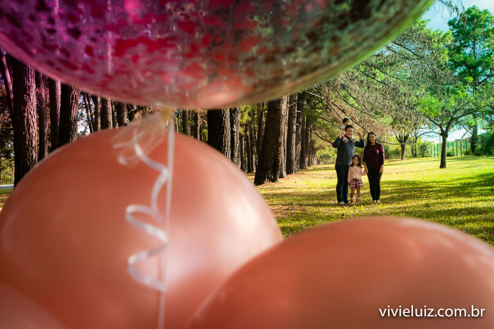 Foto Sophia - ensaio - Imagem 24