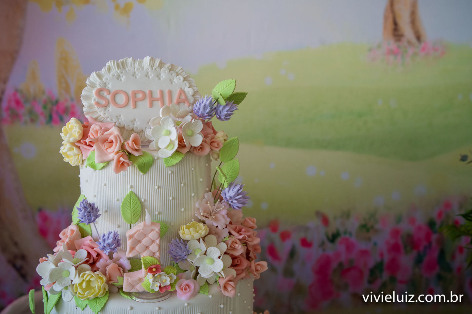 Foto Sophia - 1 ano Foto Sophia - 1 ano - Imagem 15