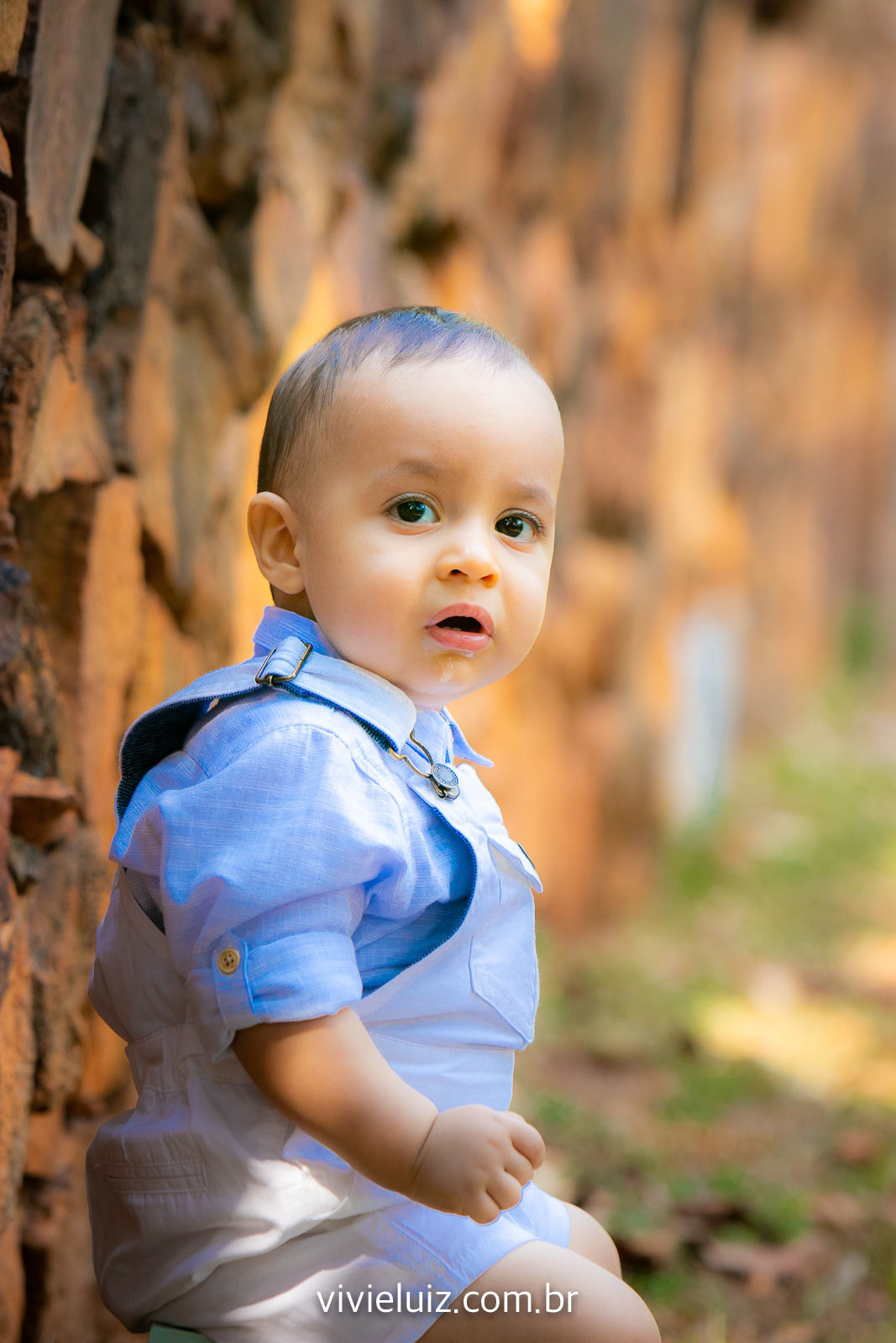 Foto Sessão de fotos do Vitor - Imagem 15