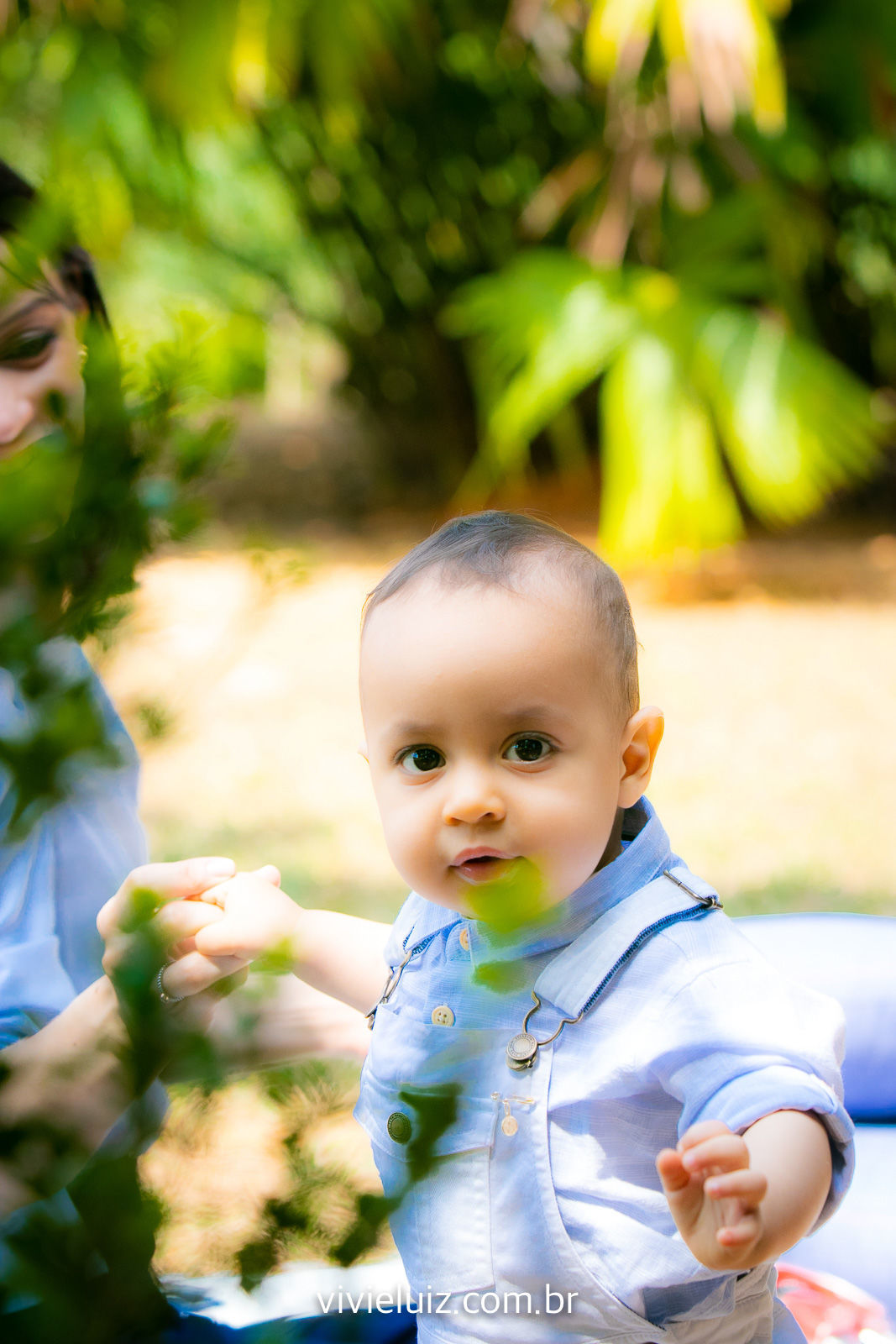 Foto Sessão de fotos do Vitor - Imagem 22