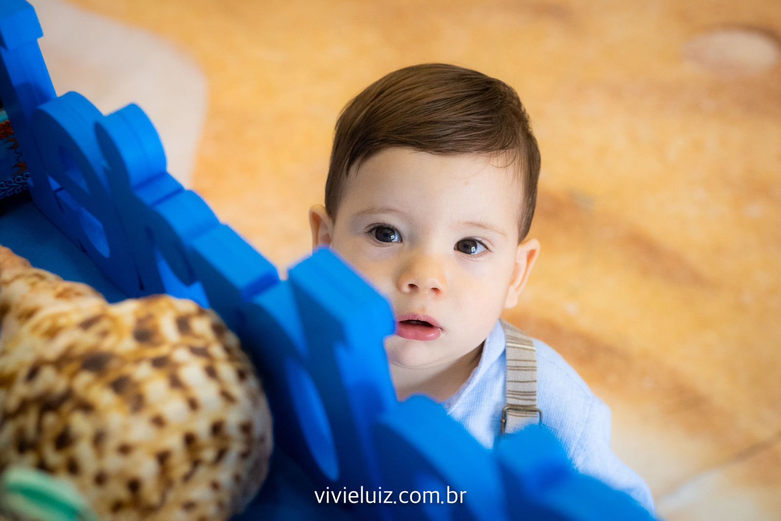 Foto Davi e Gabriel - 1 ano Foto Davi e Gabriel - 1 ano - Imagem 18