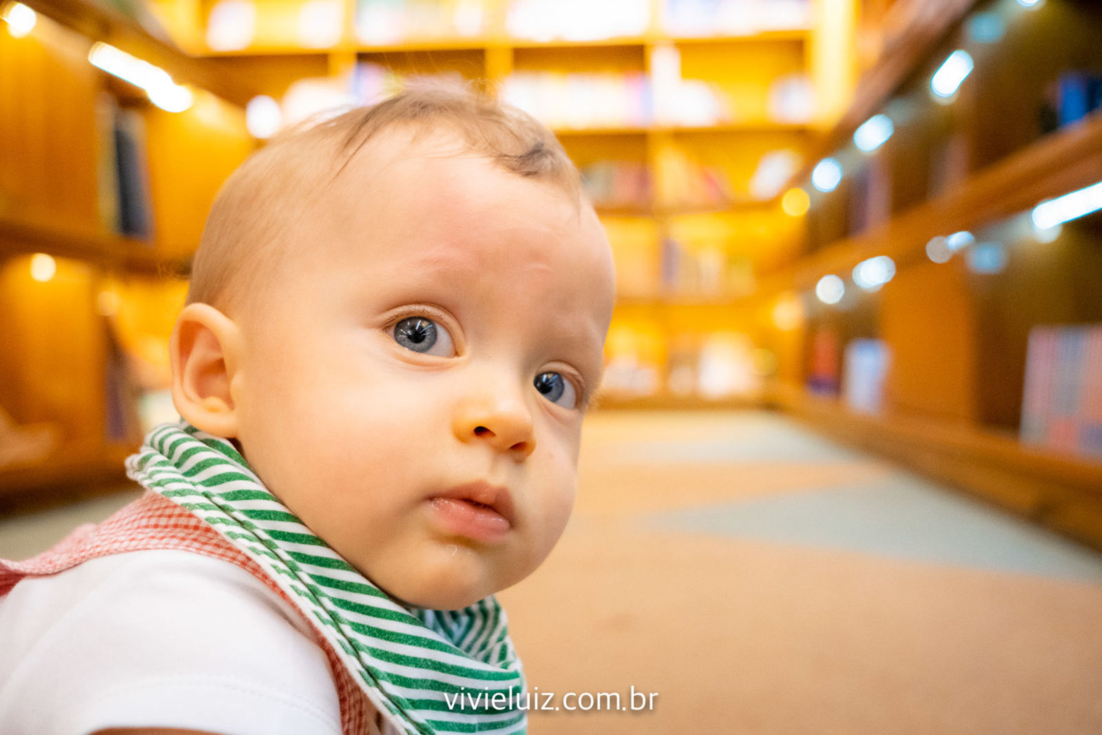 Foto Martim na livraria Foto Martim na livraria - Imagem 8