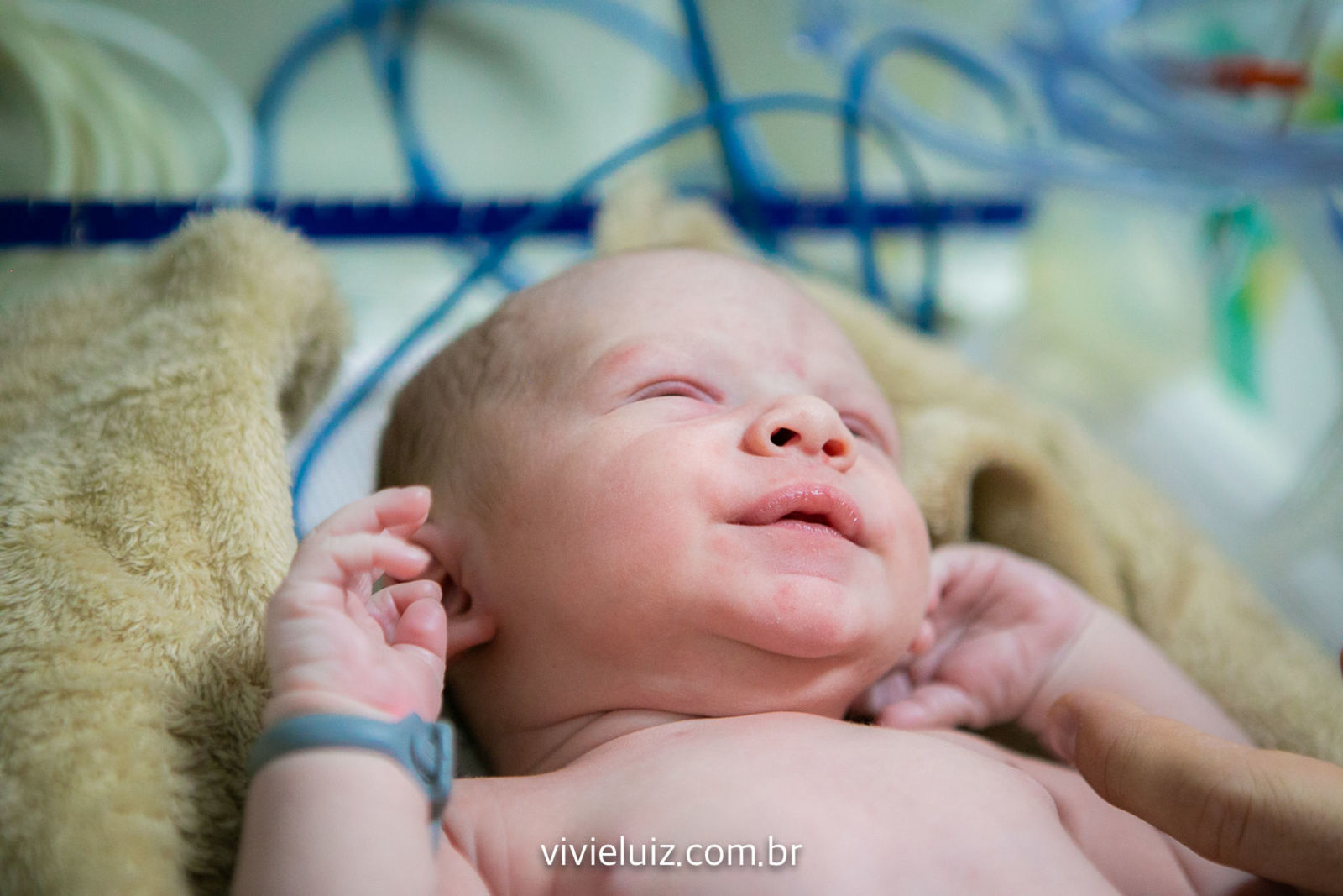 Foto Parto - Fabíola - Imagem 18