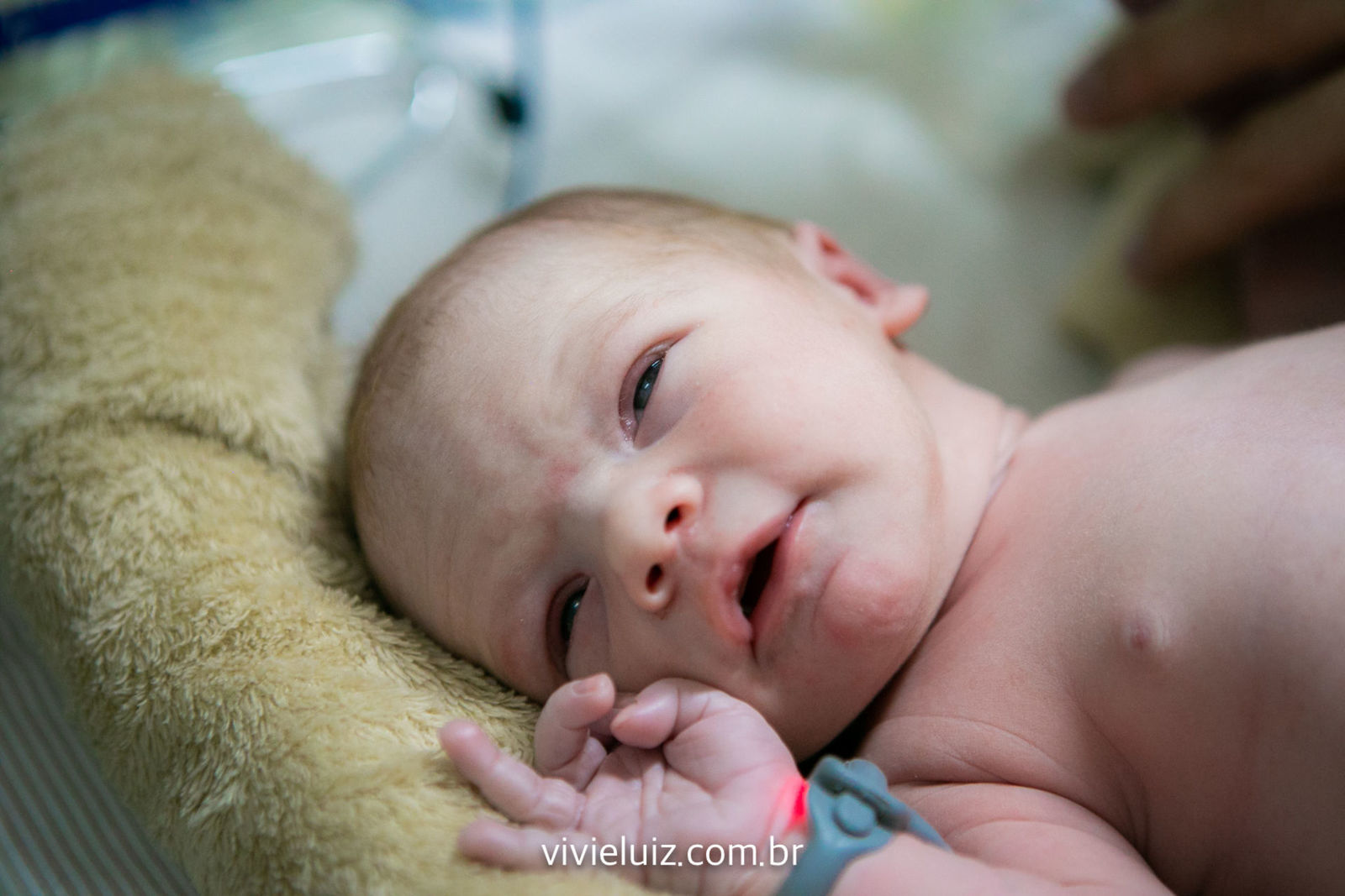 Foto Parto - Fabíola - Imagem 20