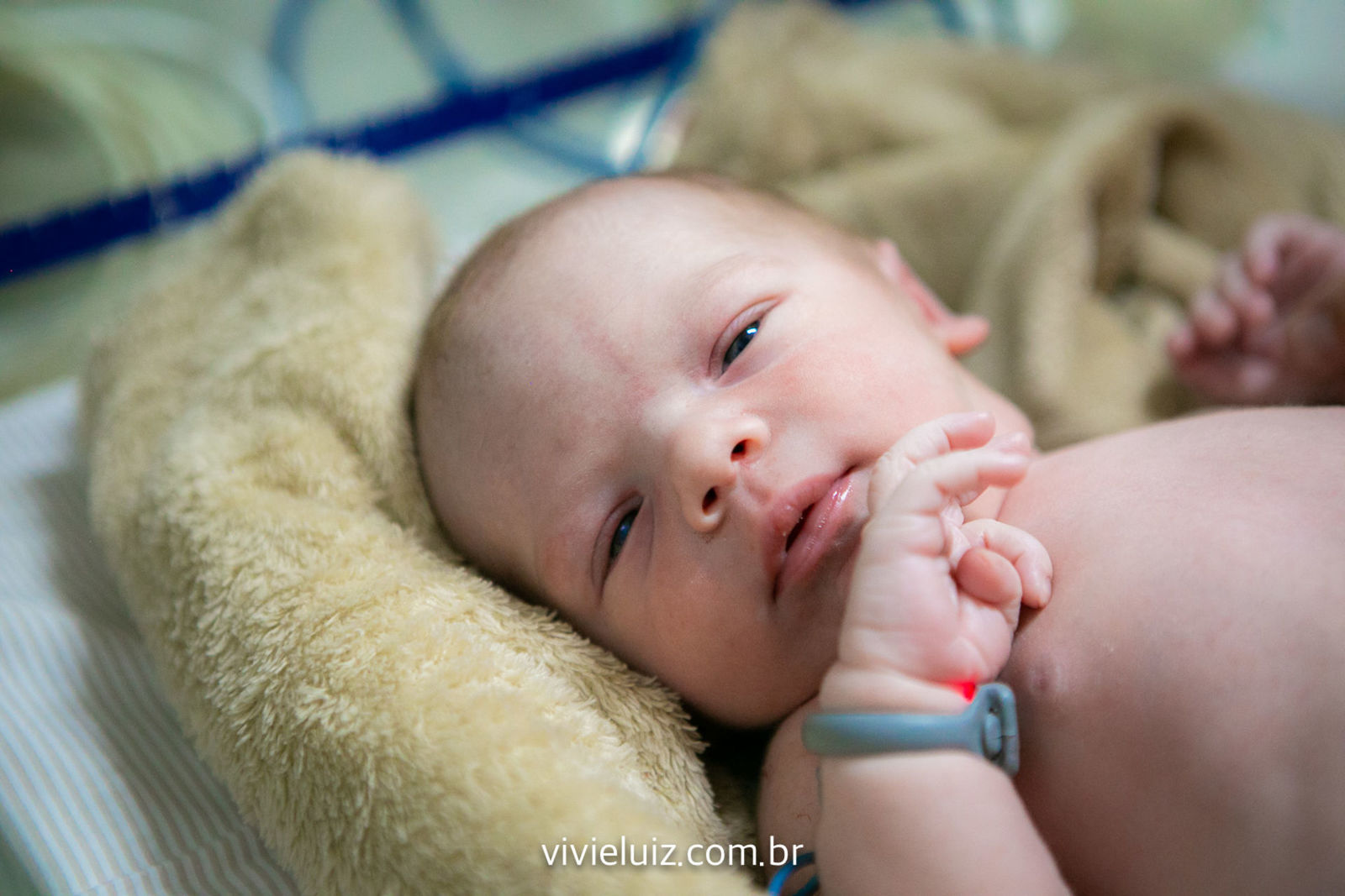 Foto Parto - Fabíola - Imagem 25