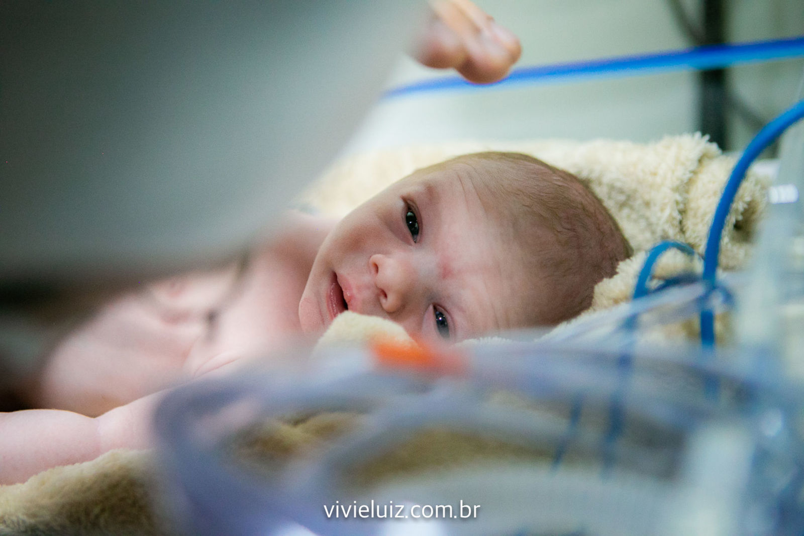 Foto Parto - Fabíola - Imagem 24