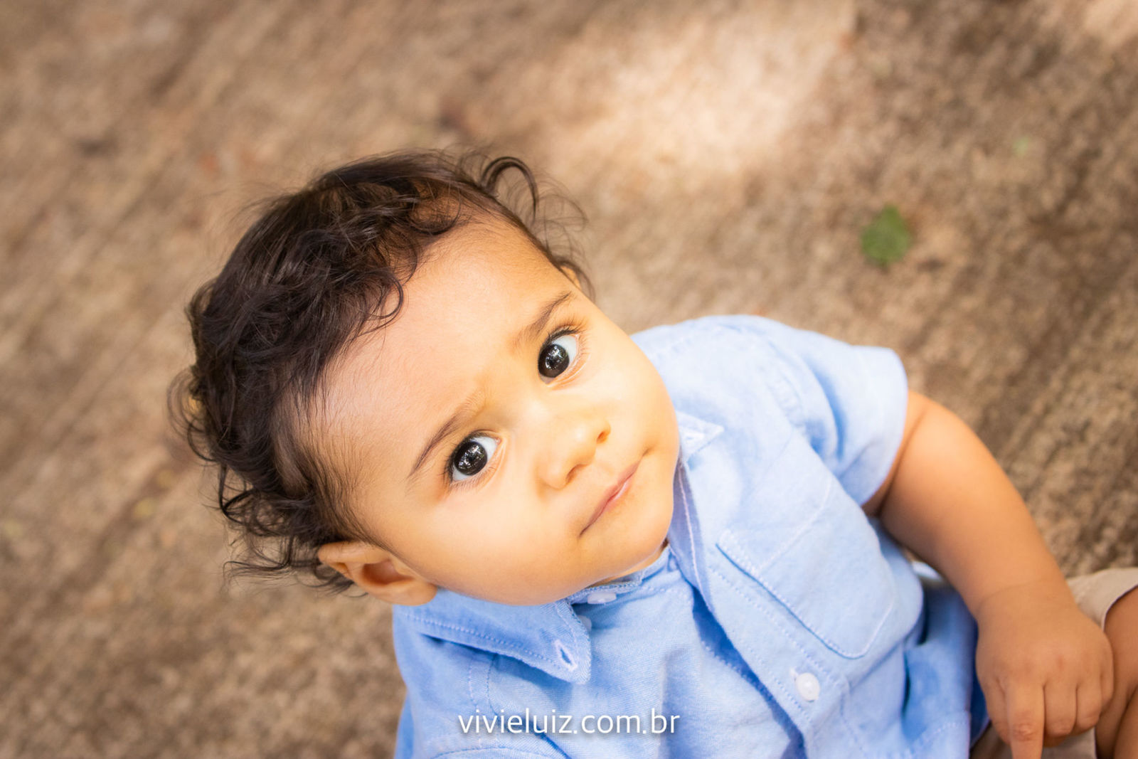 Foto Ensaio Arthur - 1 ano - Imagem 7