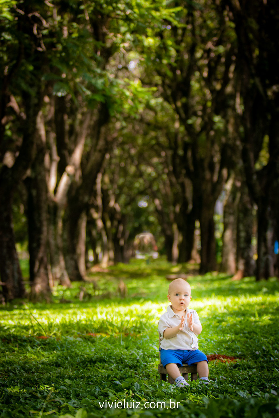 Foto Ensaio de 1 ano do Gabriel Foto Ensaio de 1 ano do Gabriel - Imagem 13