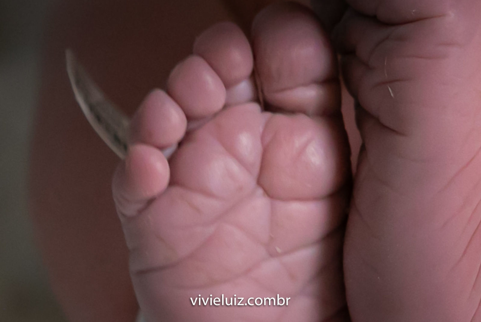 Foto Parto Luísa - Imagem 23