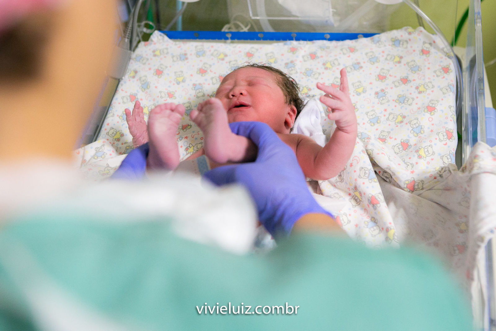 Foto Parto Luísa - Imagem 22