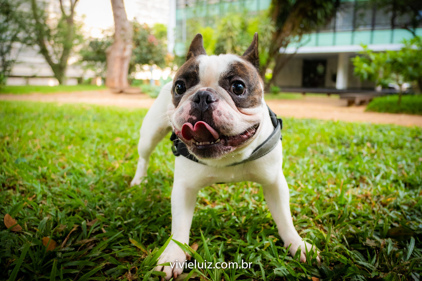 Foto Ensaio Maria - 7 anos - Imagem 6