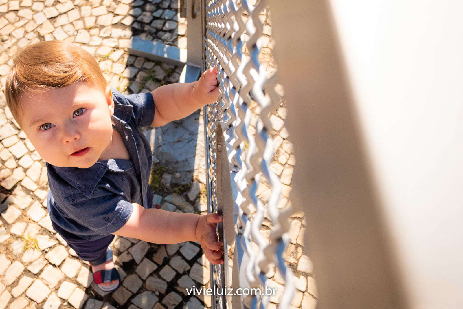 Foto Família do Gustavo - Imagem 0