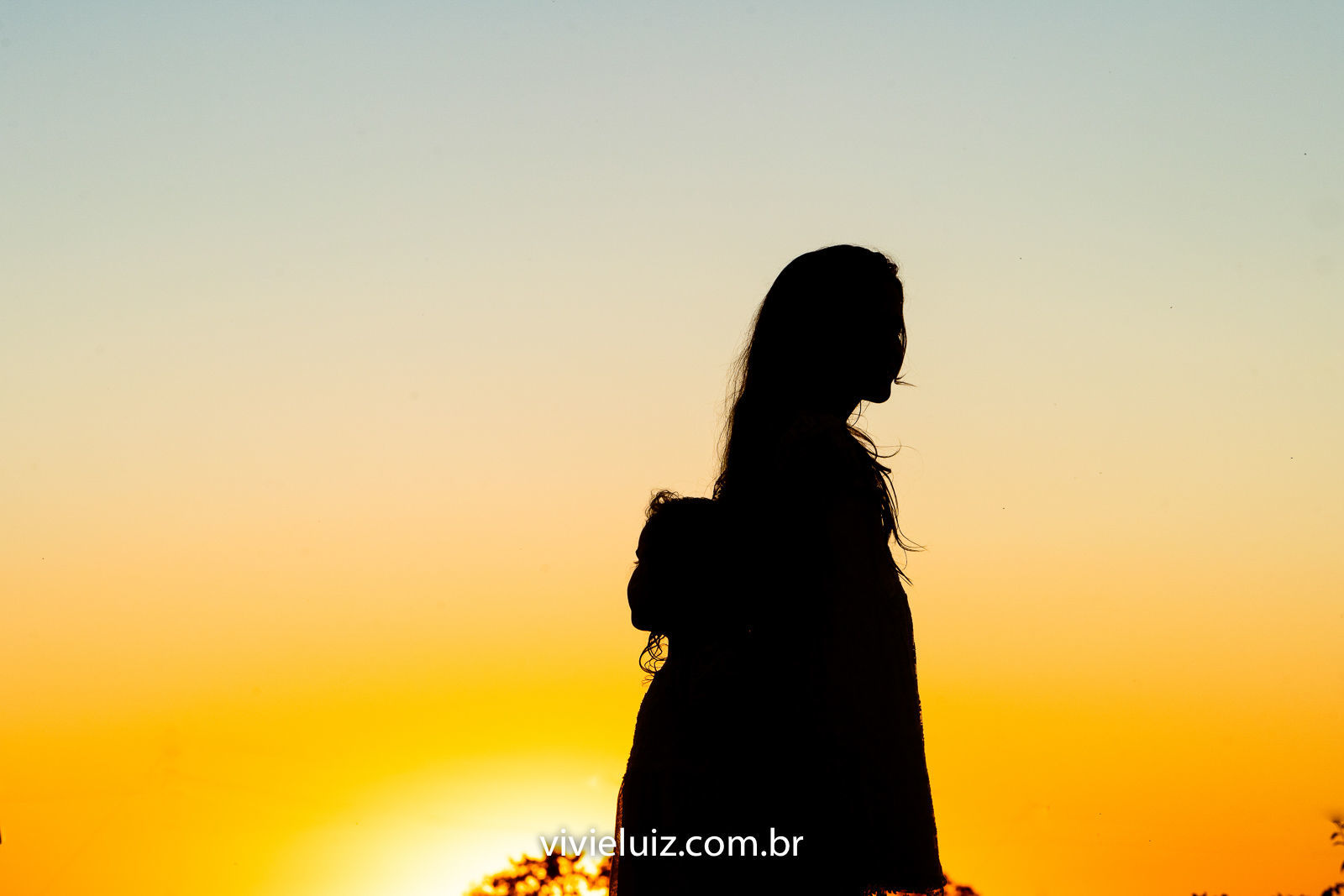 Foto Família Marcela no Girassol - Imagem 6