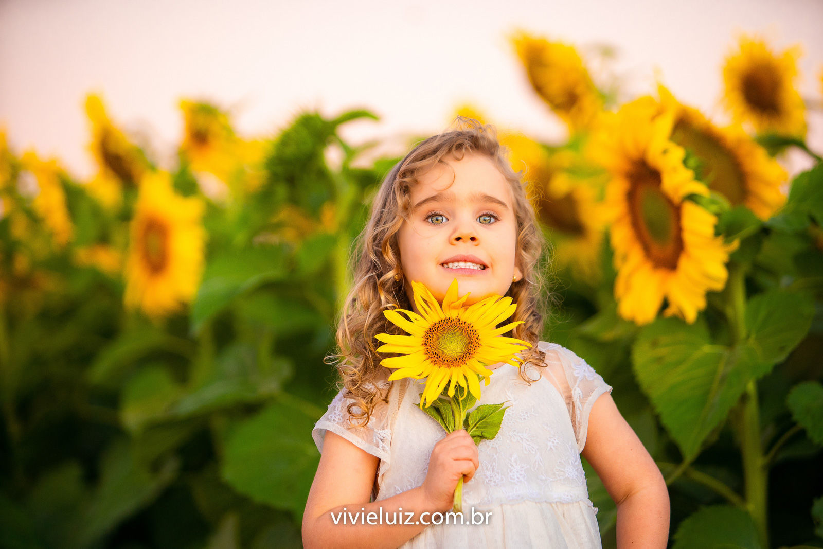 Foto Família Marcela no Girassol - Imagem 11