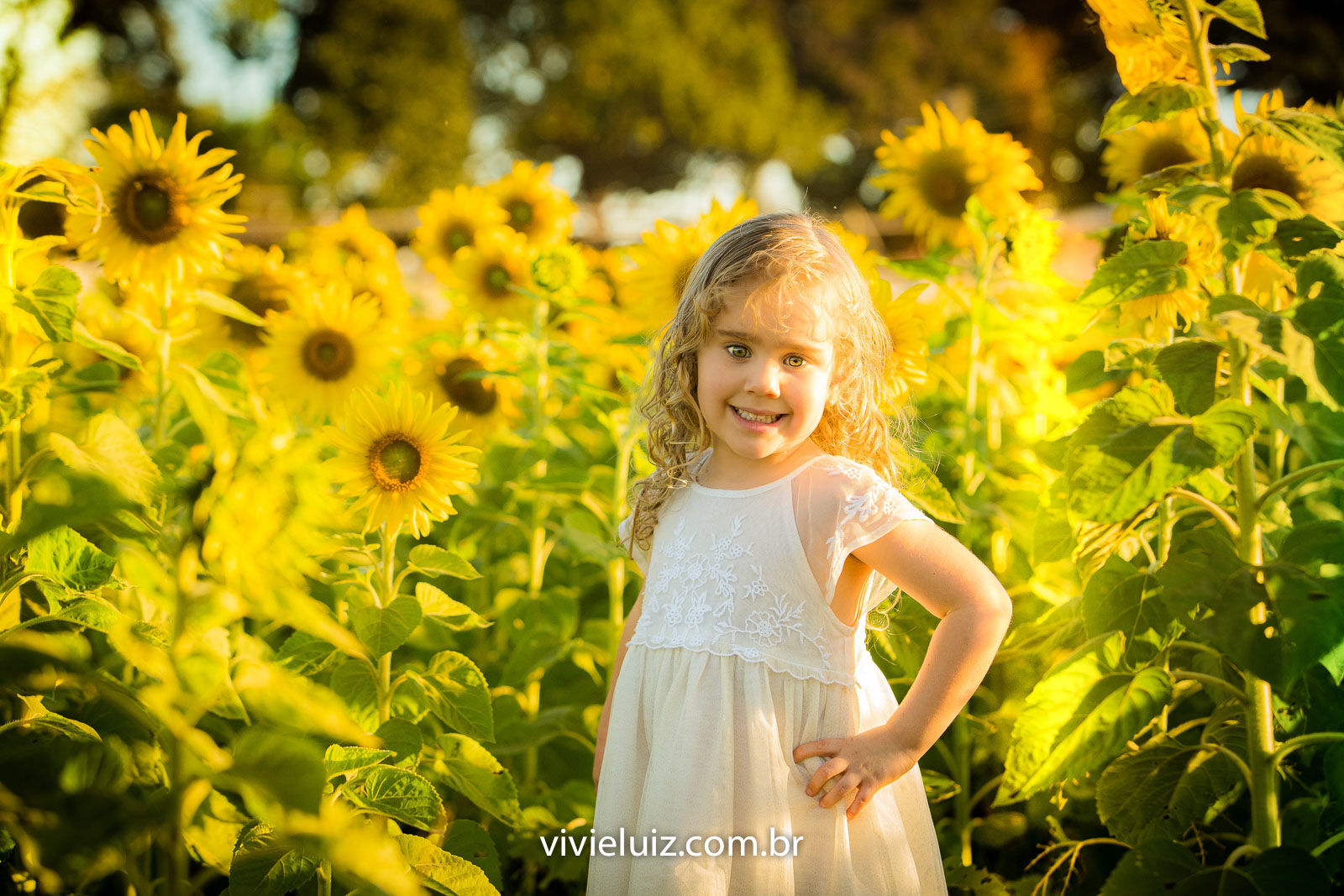Foto Família Marcela no Girassol - Imagem 1