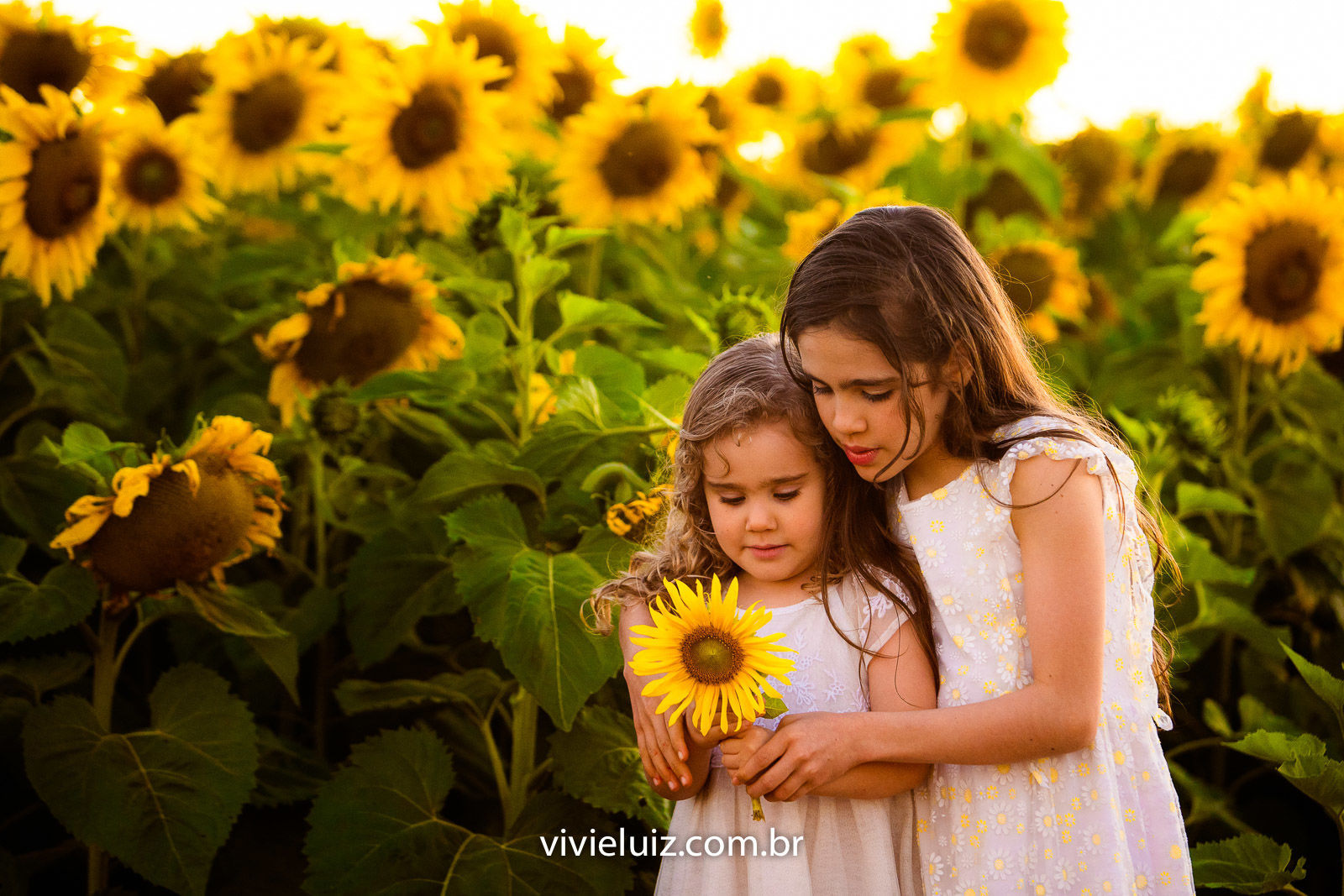 Foto Família Marcela no Girassol - Imagem 7