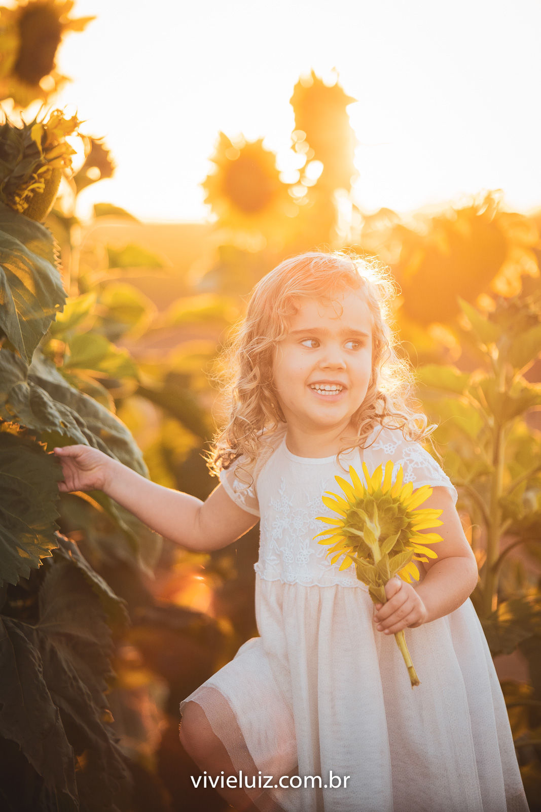 Foto Família Marcela no Girassol - Imagem 5