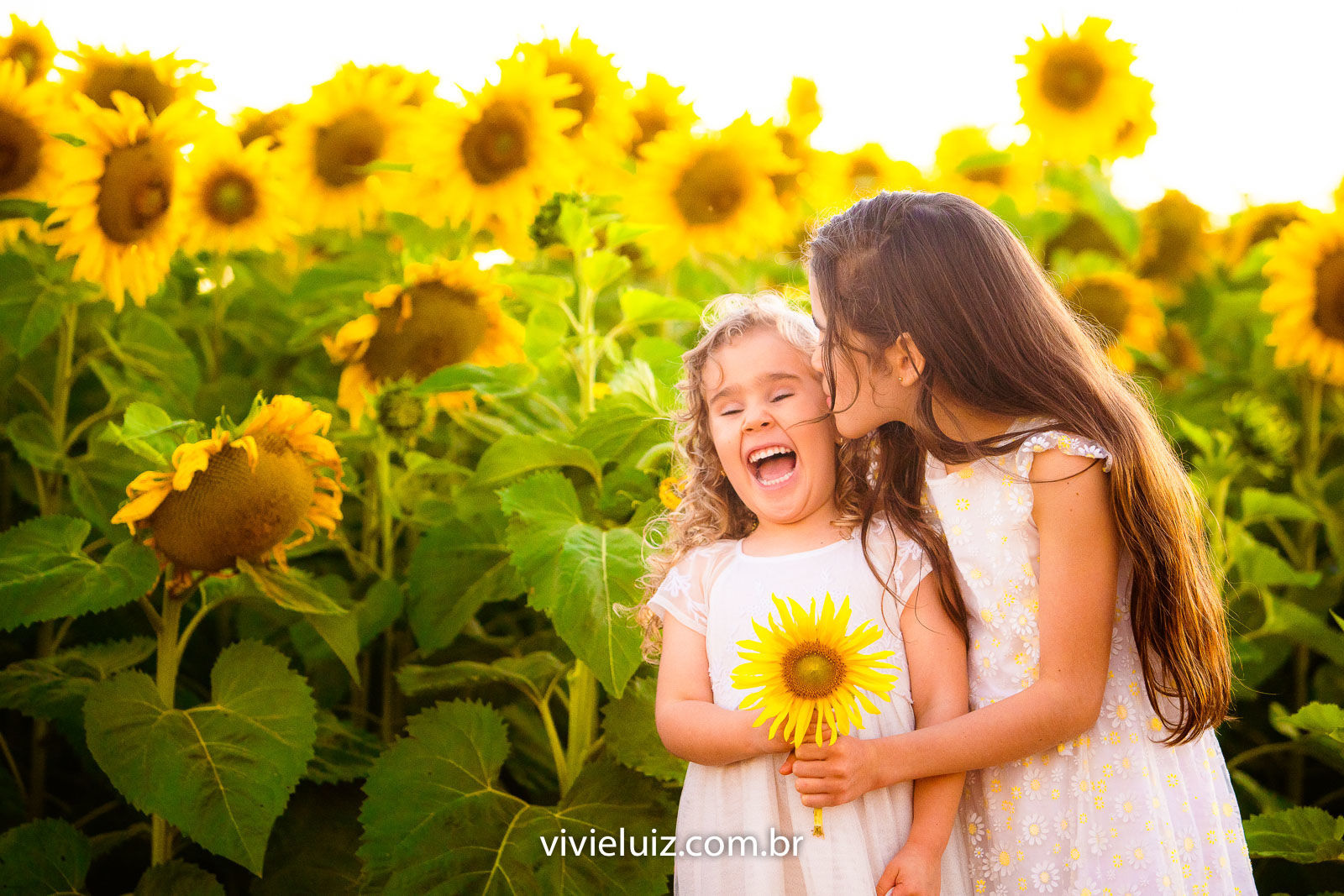 Foto Família Marcela no Girassol - Imagem 10