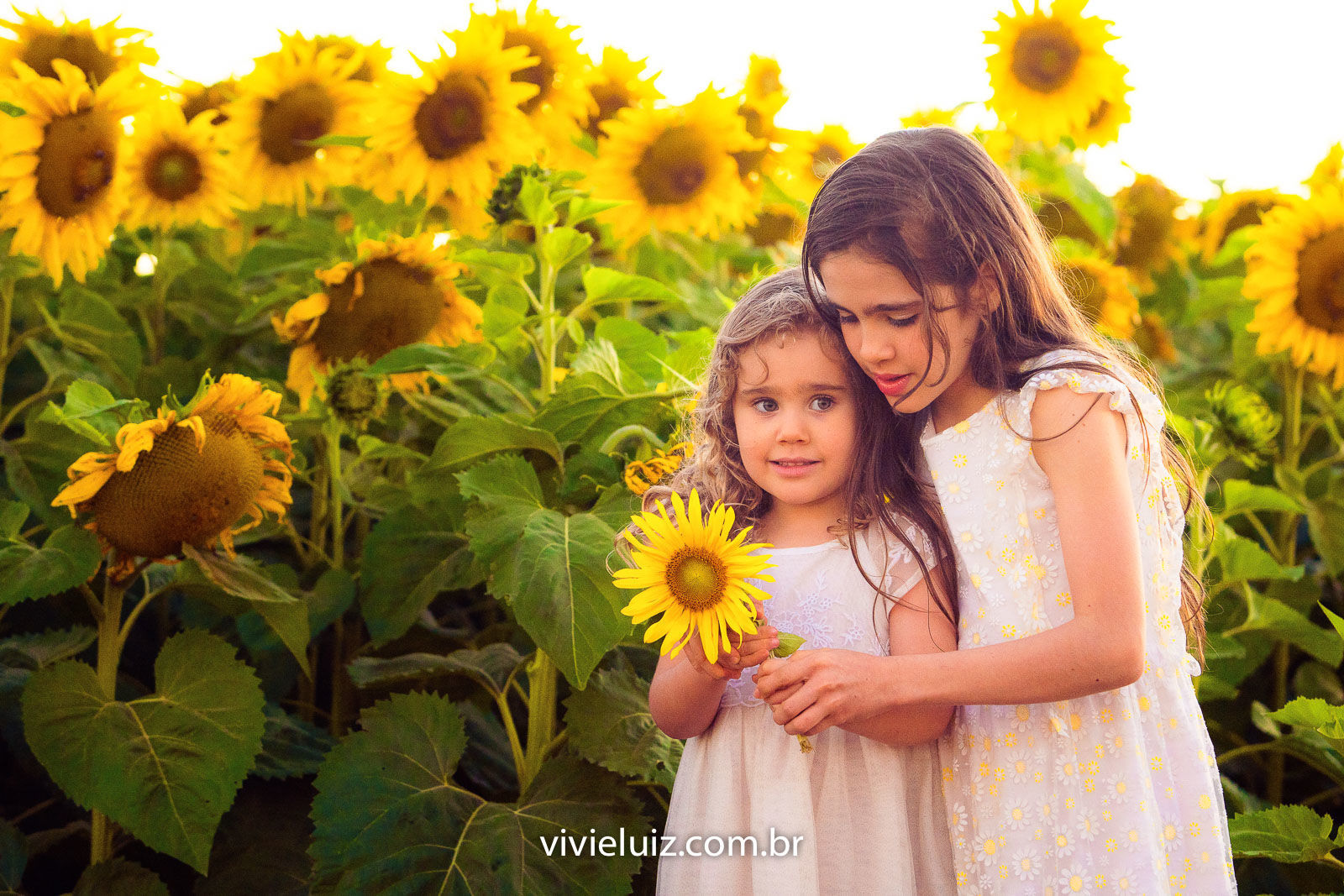 Foto Família Marcela no Girassol - Imagem 8