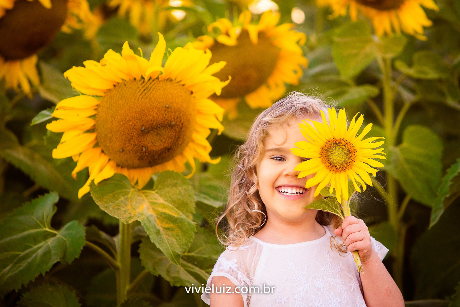 Foto Família Marcela no Girassol - Imagem 2