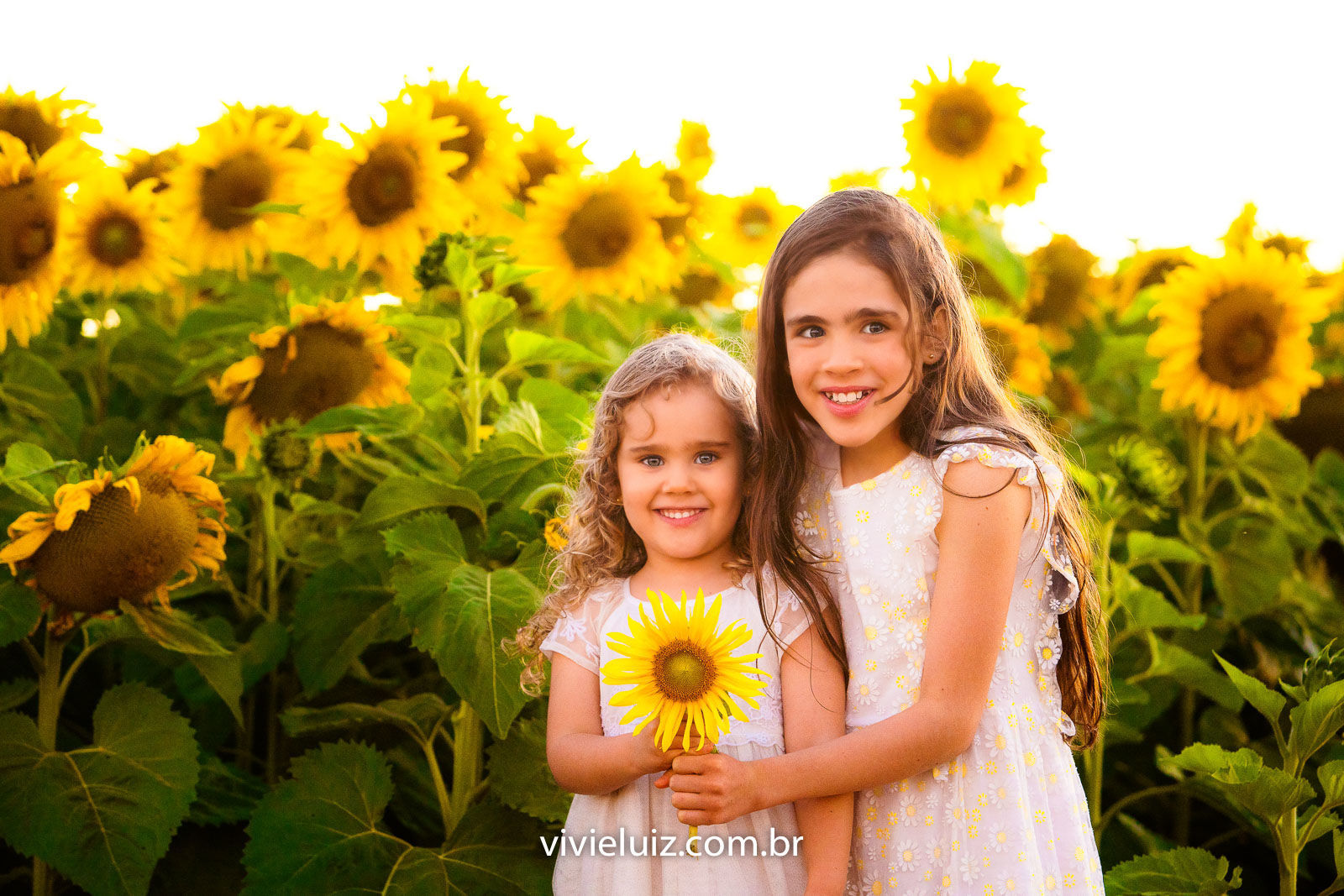 Foto Família Marcela no Girassol - Imagem 9