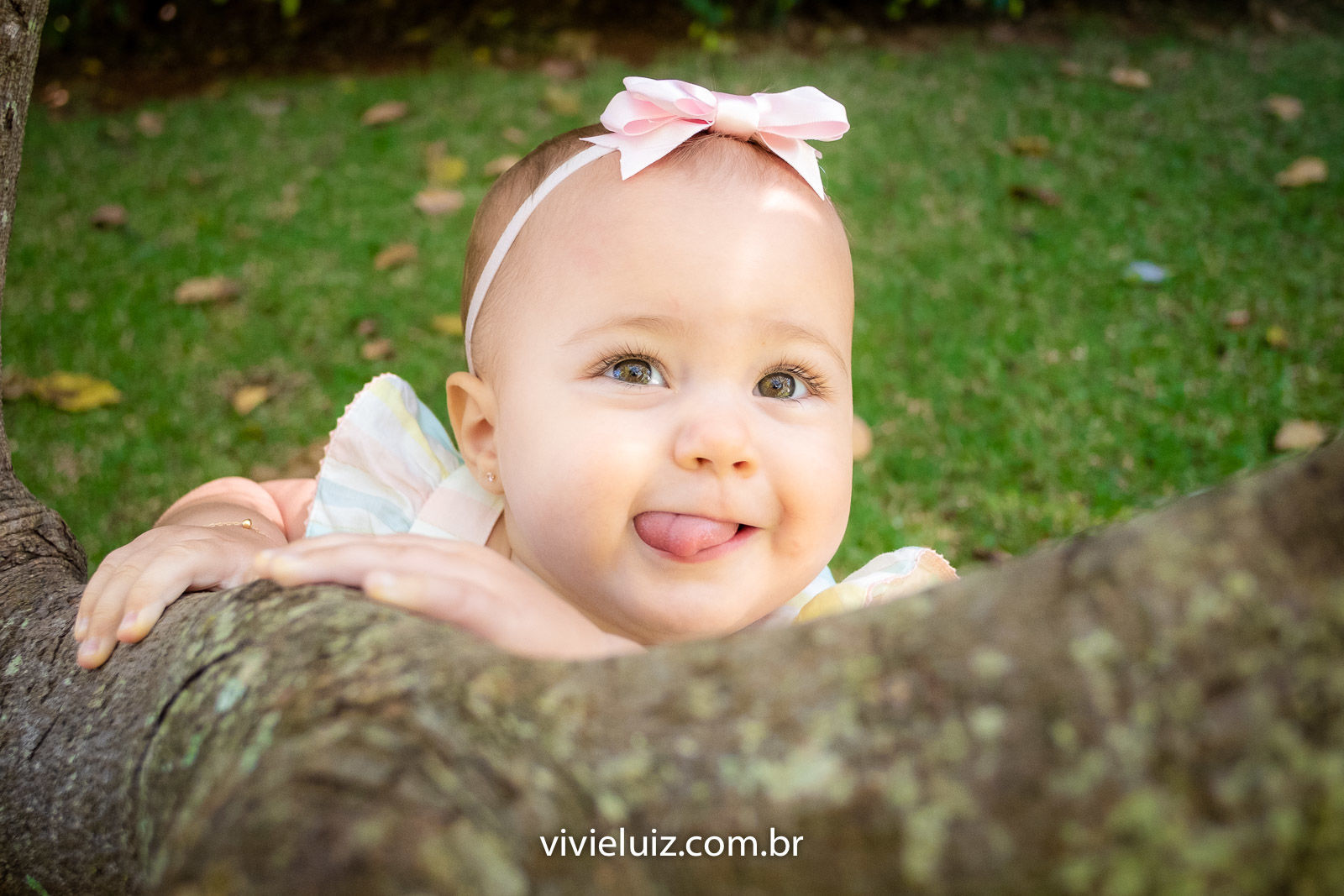 Foto Ensaio família Juliana - Imagem 3