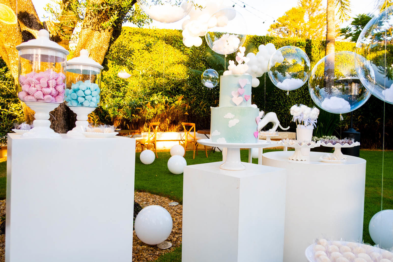 Foto Chá revelação - Poliana - Imagem 8