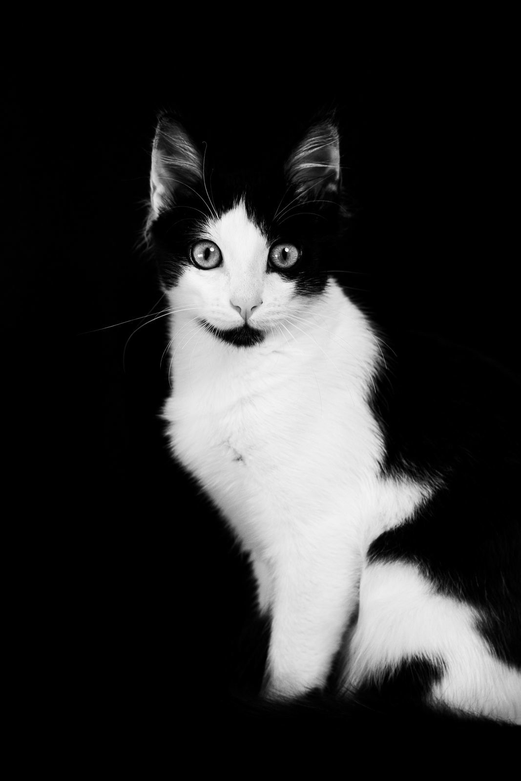 Foto Retrato Fernanda - Imagem 2