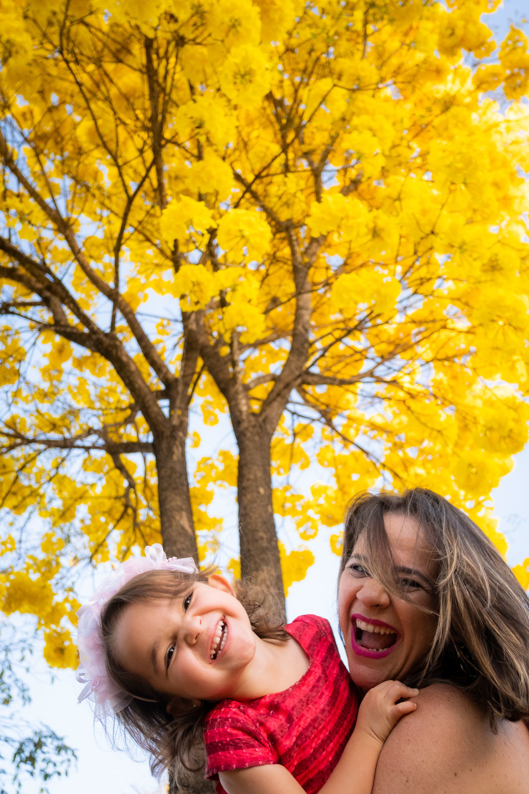 Foto Helena 2 anos - Imagem 9