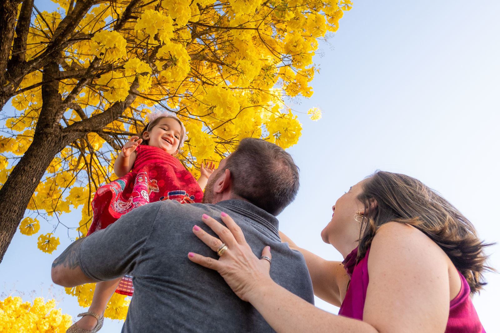 Foto Helena 2 anos - Imagem 4