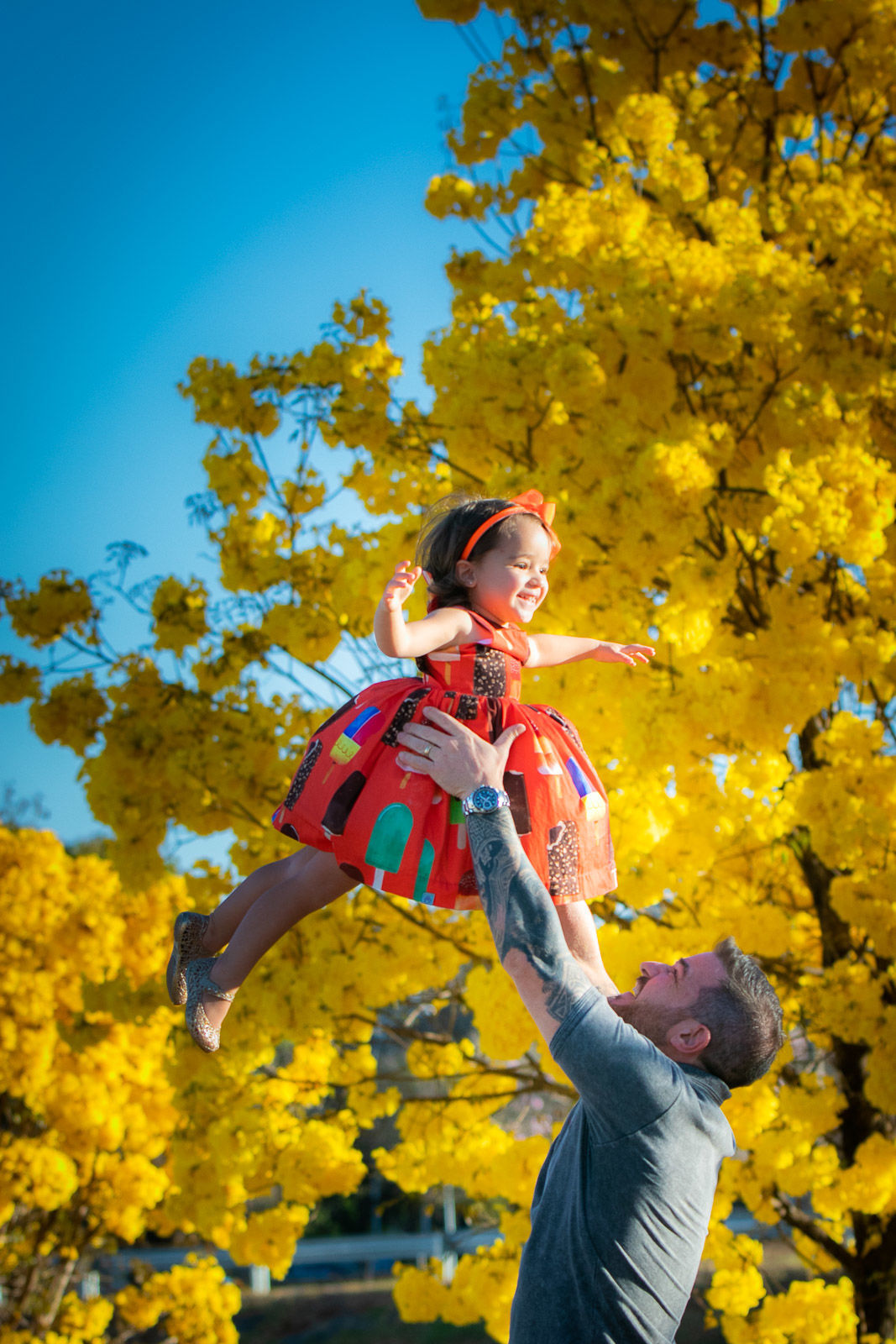 Foto Helena 2 anos - Imagem 13