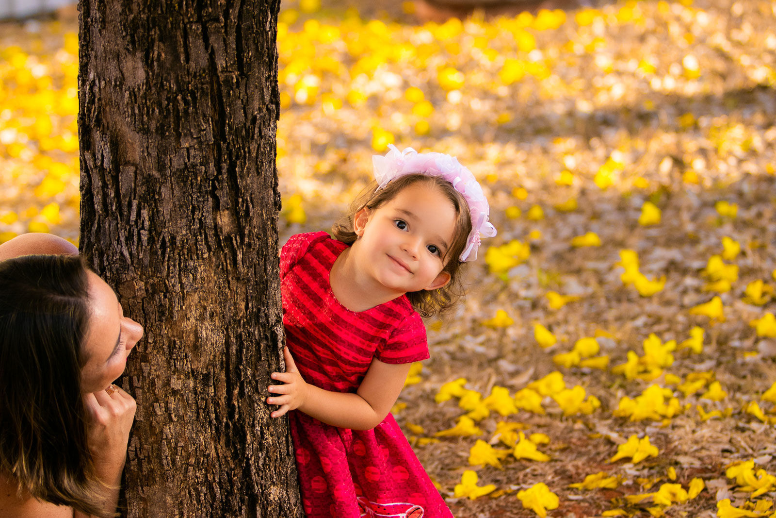 Foto Helena 2 anos - Imagem 18
