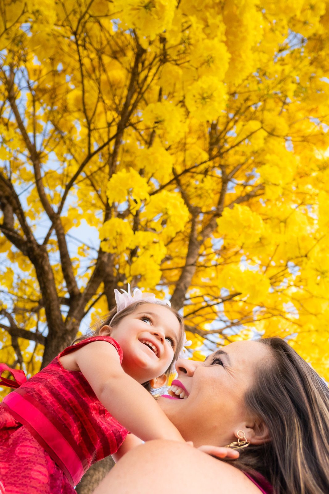 Foto Helena 2 anos - Imagem 6