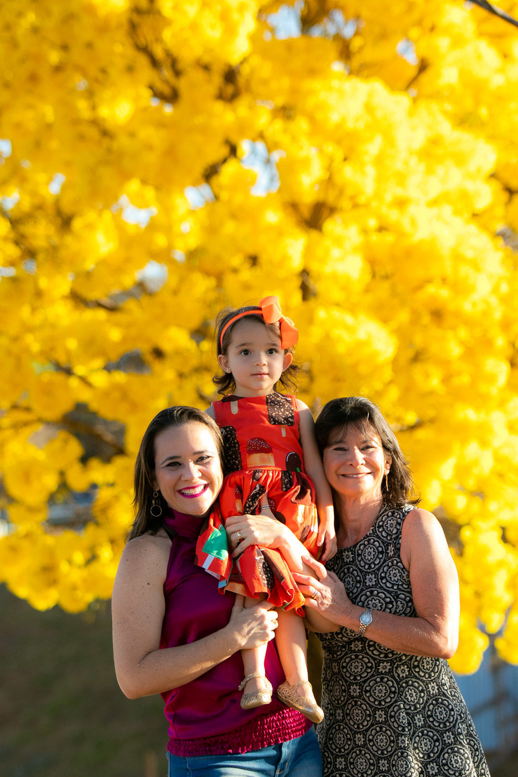 Foto Helena 2 anos - Imagem 11