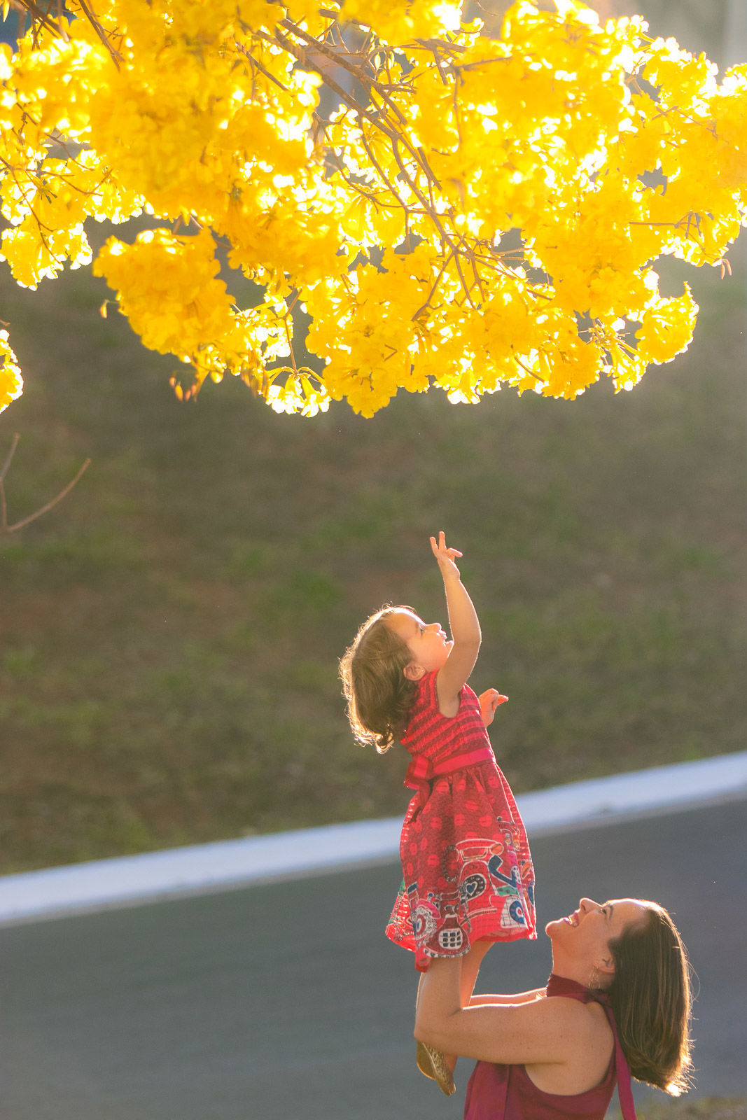 Foto Helena 2 anos - Imagem 17