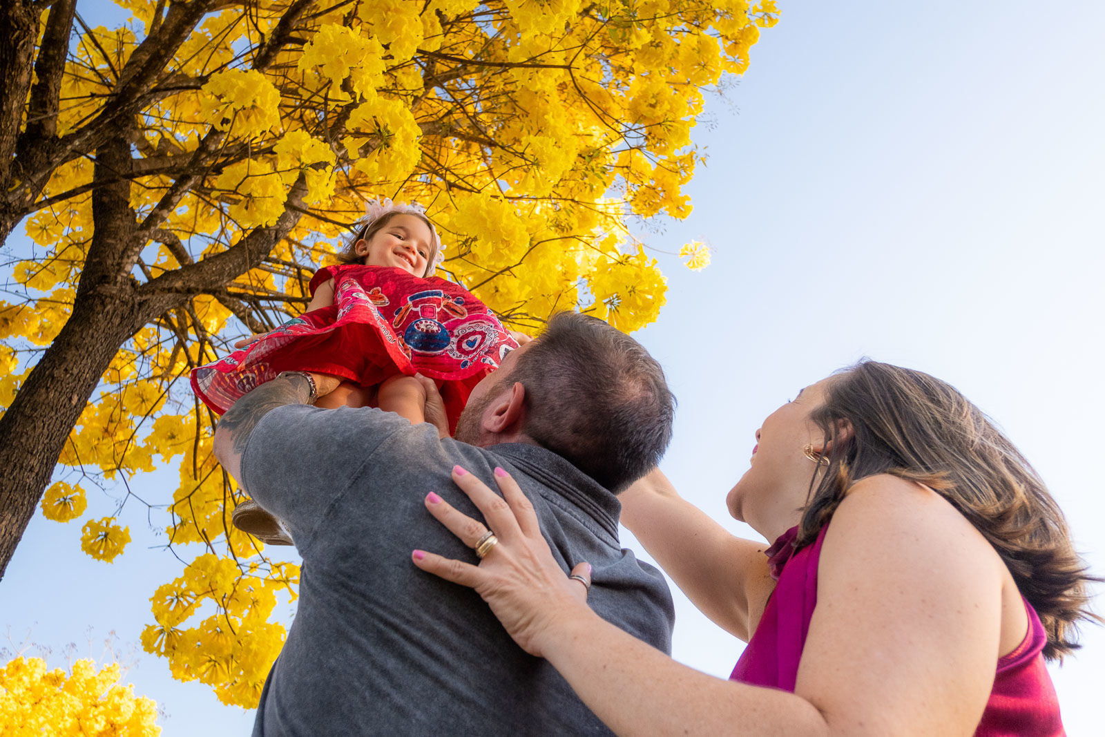 Foto Helena 2 anos - Imagem 3
