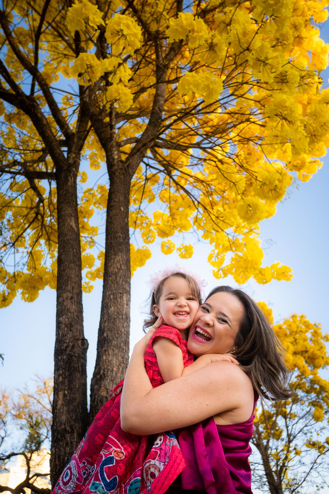 Foto Helena 2 anos - Imagem 8