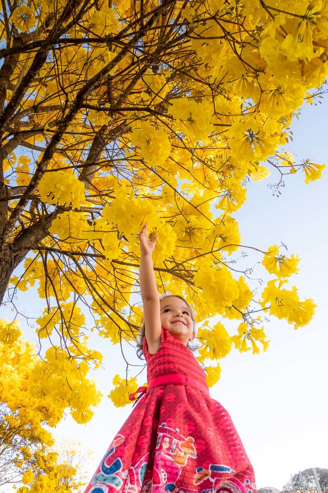 Foto Helena 2 anos - Imagem 1