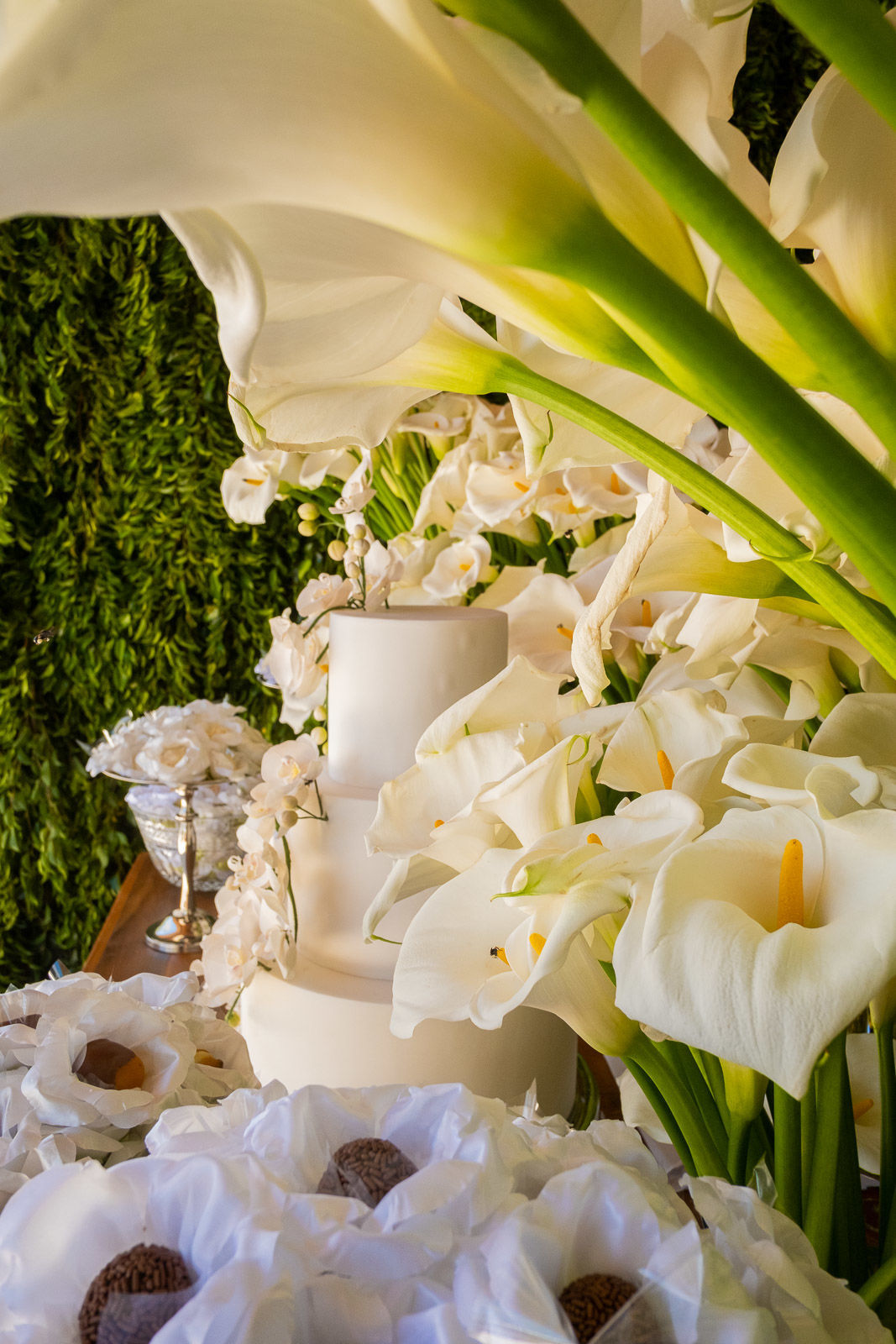 Foto Casamento Bruna e Miguel - Imagem 17