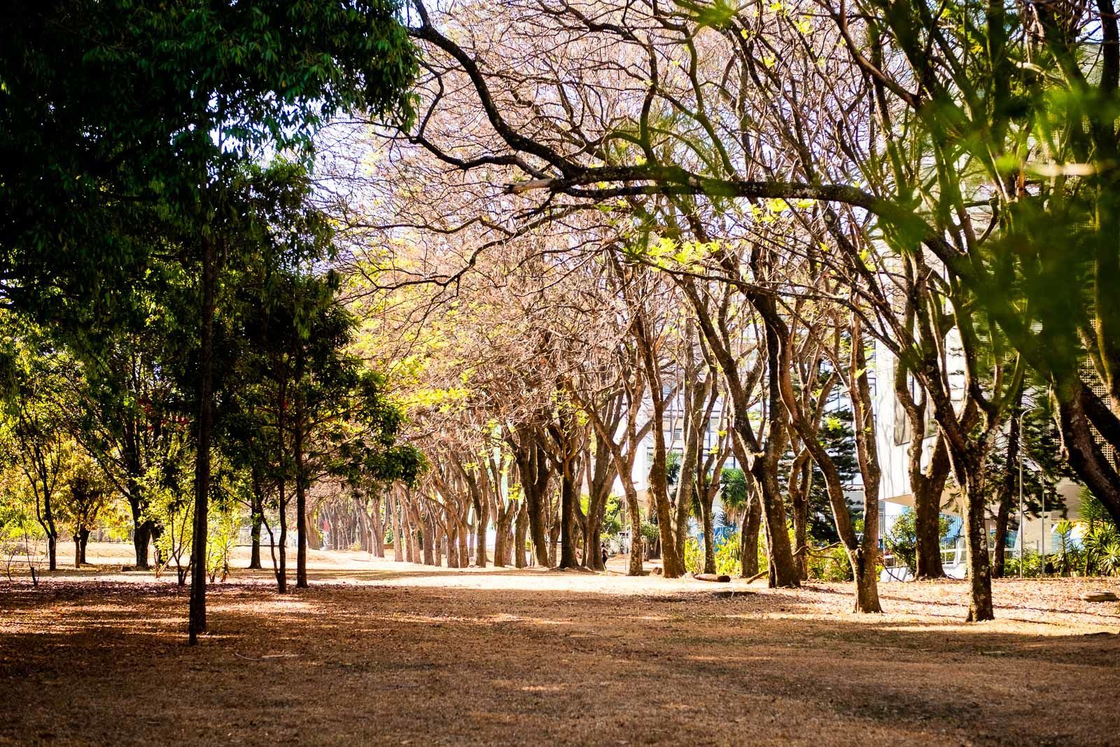 Foto Helen - Imagem 1