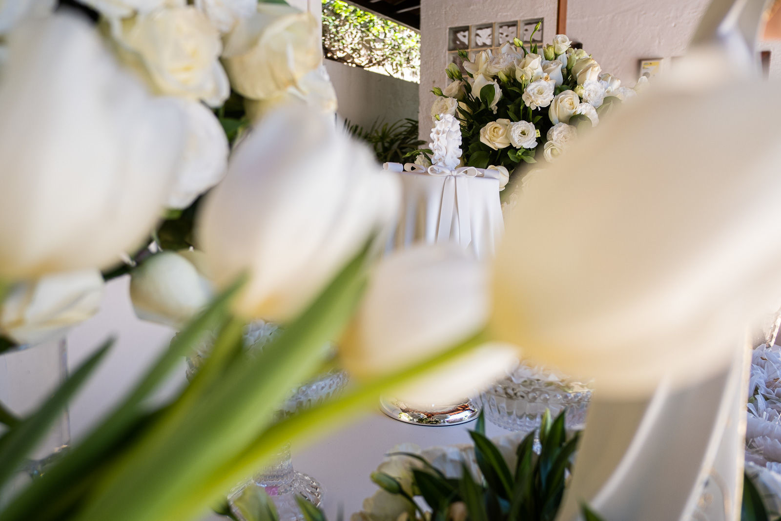 Foto Batizado Maria Luisa - Imagem 39