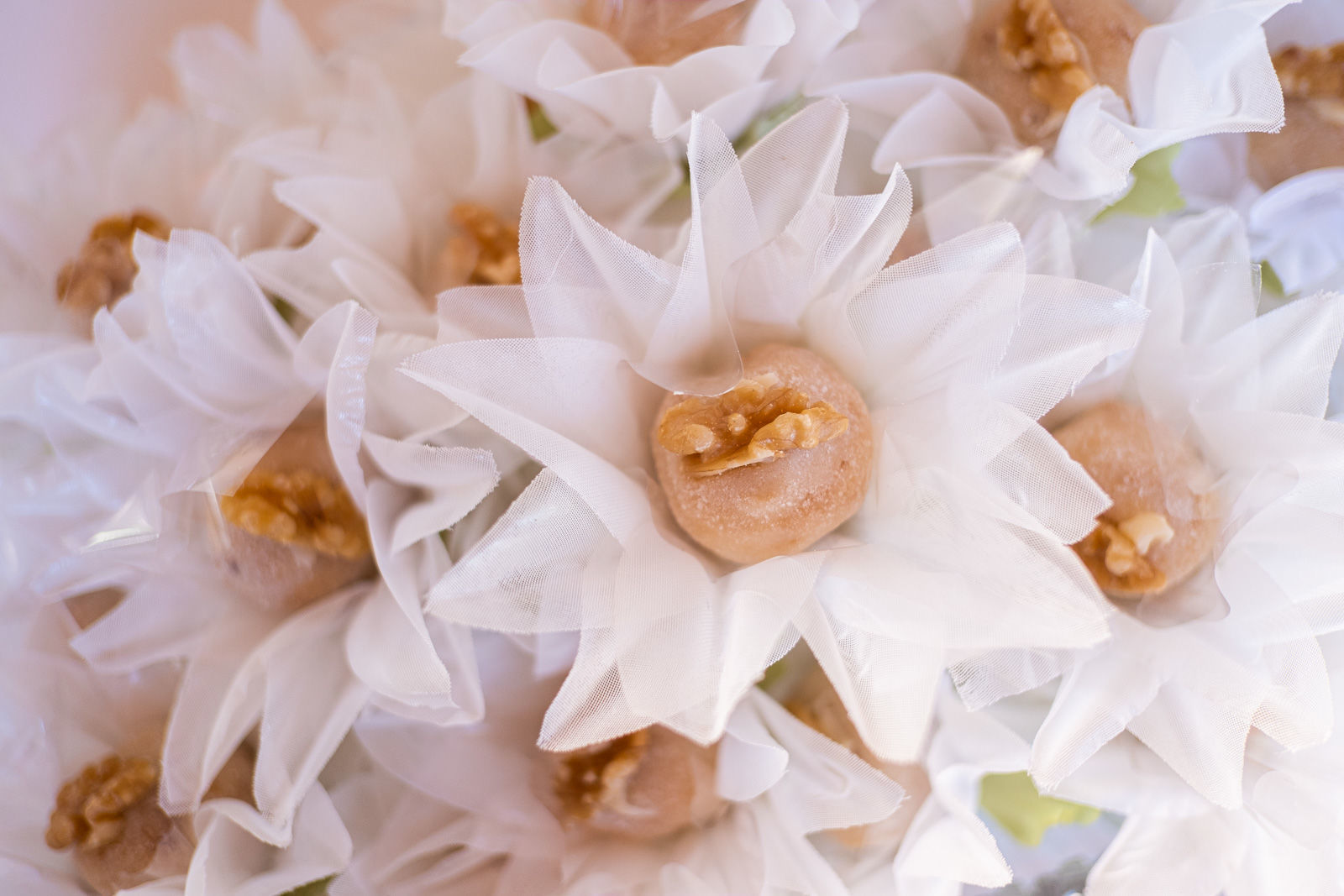 Foto Batizado Maria Luisa - Imagem 42