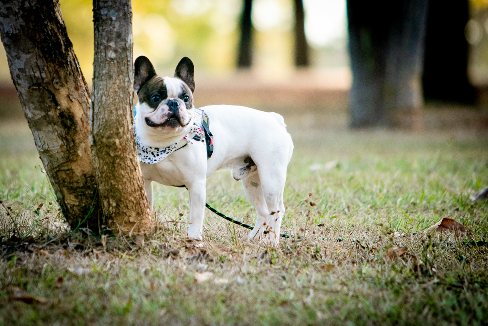 Foto Ensaio família Maria - Imagem 1
