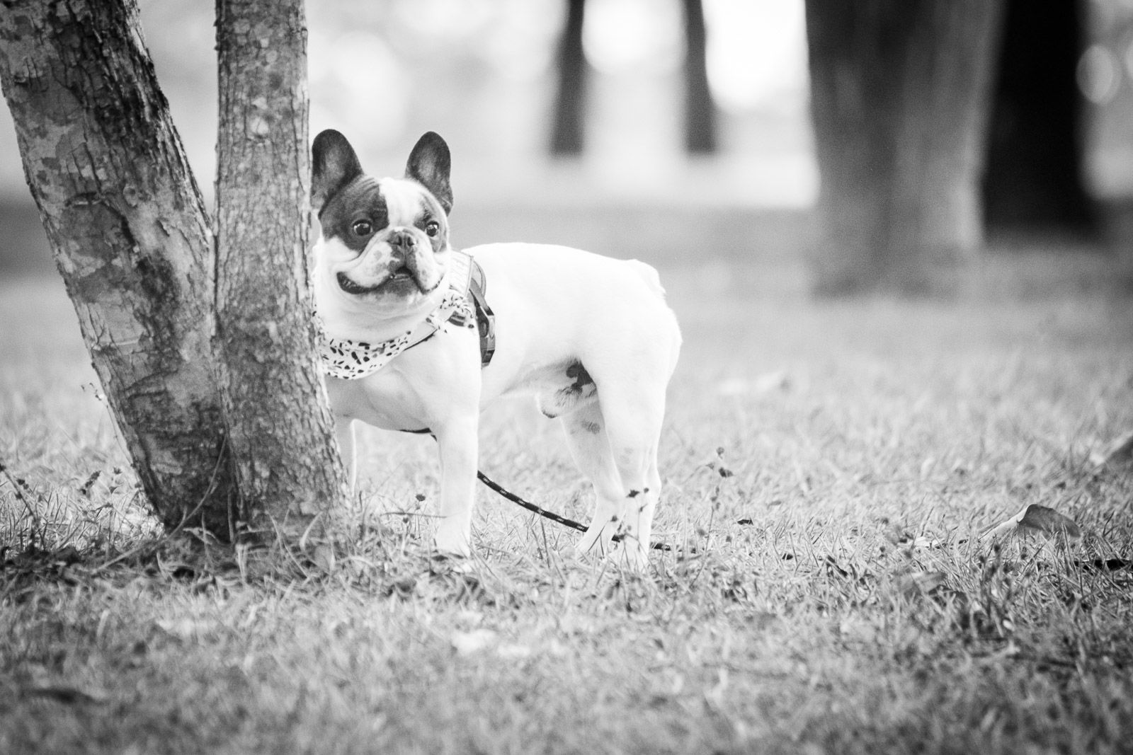 Foto Ensaio família Maria - Imagem 0