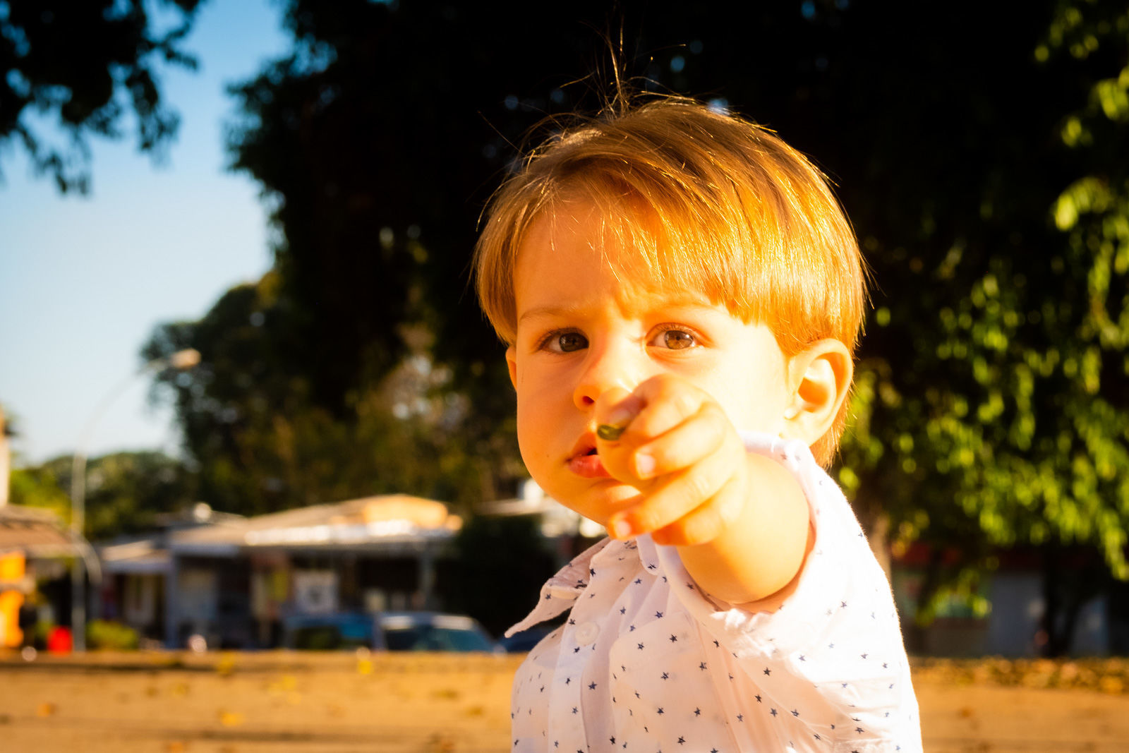 Foto Rachel Trein - Imagem 9